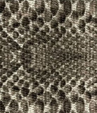 WEBBING: 38MM Smooth Exotic Print